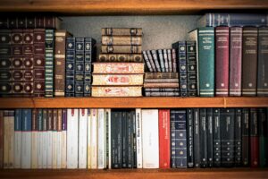 Two shelves of neatly stacked books.